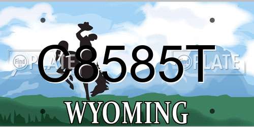 C8585T Wyoming License Plate