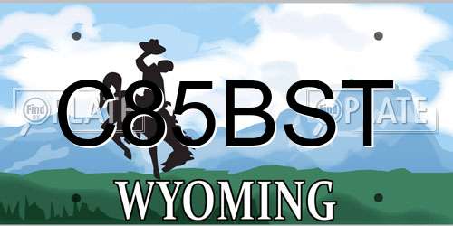 C85BST Wyoming License Plate
