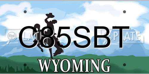 C85SBT Wyoming License Plate