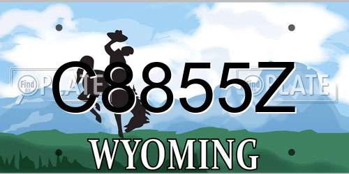 C8855Z Wyoming License Plate