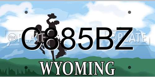 C885BZ Wyoming License Plate