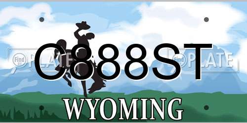 C888ST Wyoming License Plate