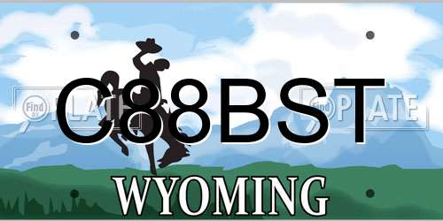 C88BST Wyoming License Plate