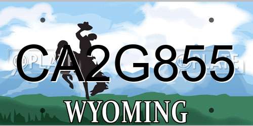 CA2G855 Wyoming License Plate