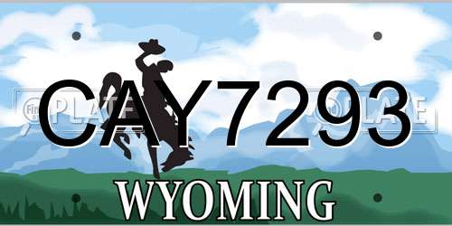 CAY7293 Wyoming License Plate