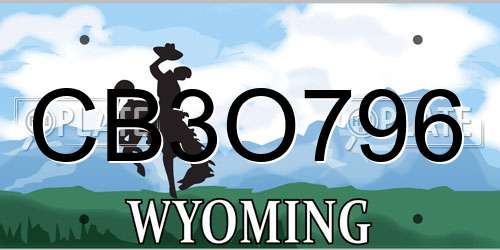 CB3O796 Wyoming License Plate