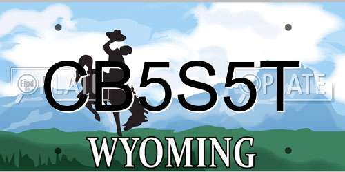 CB5S5T Wyoming License Plate