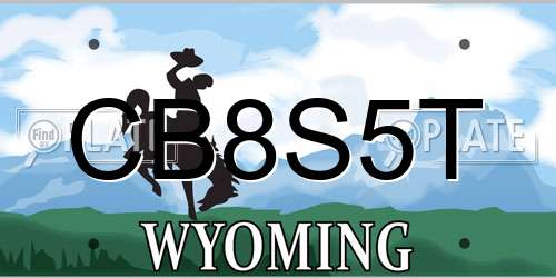 CB8S5T Wyoming License Plate