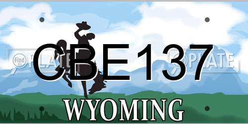 CBE137 Wyoming License Plate