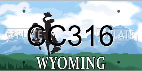 CC316 Wyoming License Plate