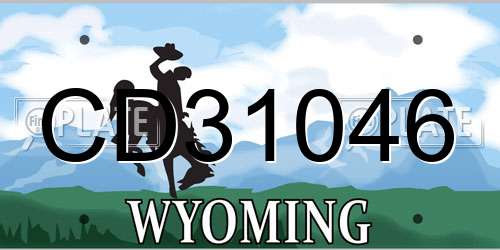 CD31046 Wyoming License Plate