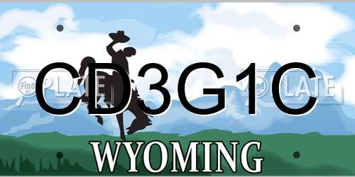 CD3G1C Wyoming License Plate