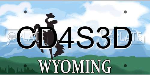 CD4S3D Wyoming License Plate
