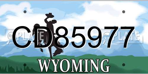 CD85977 Wyoming License Plate