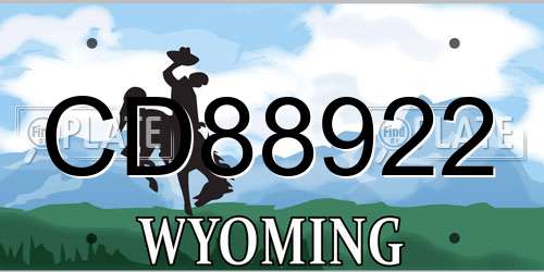 CD88922 Wyoming License Plate