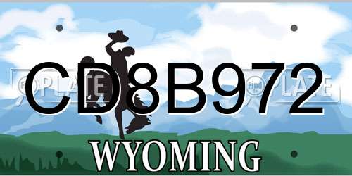 CD8B972 Wyoming License Plate