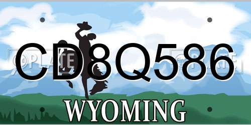 CD8Q586 Wyoming License Plate
