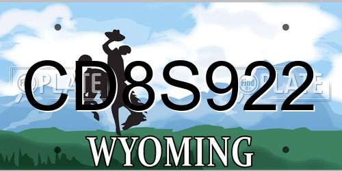 CD8S922 Wyoming License Plate