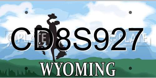CD8S927 Wyoming License Plate