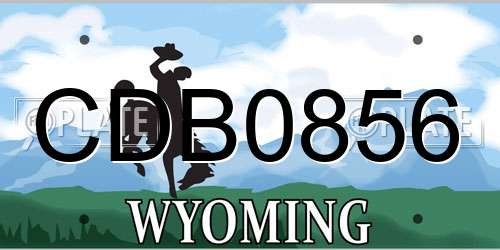 CDB0856 Wyoming License Plate
