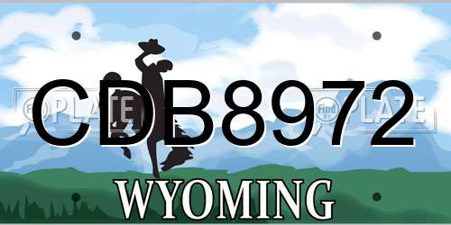CDB8972 Wyoming License Plate