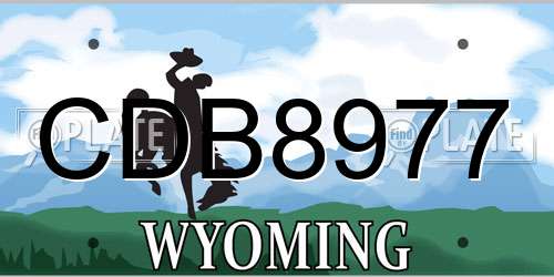CDB8977 Wyoming License Plate