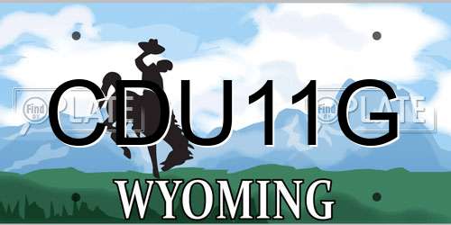 CDU11G Wyoming License Plate