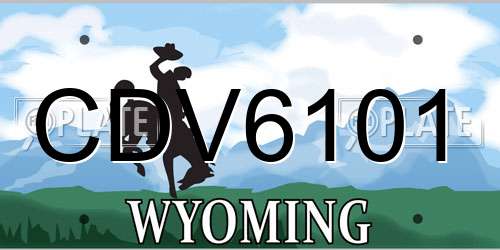 CDV6101 Wyoming License Plate
