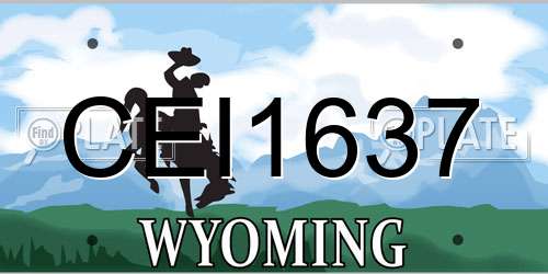 CEI1637 Wyoming License Plate