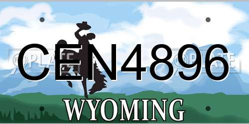 CEN4896 Wyoming License Plate
