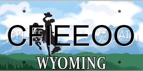 CFIEEOO Wyoming License Plate