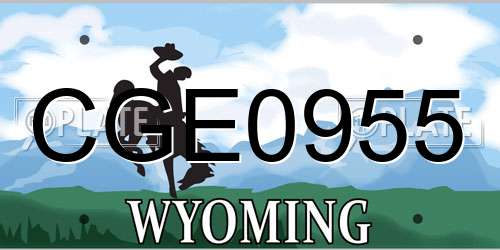 CGE0955 Wyoming License Plate