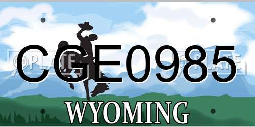 CGE0985 Wyoming License Plate