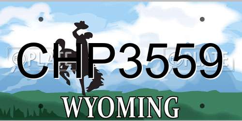 CHP3559 Wyoming License Plate