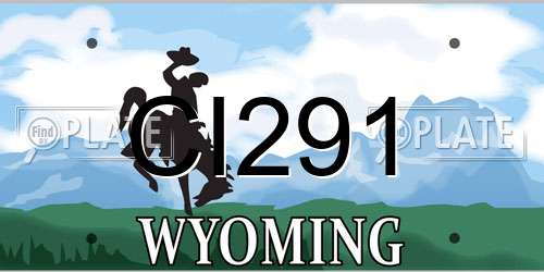 CI291 Wyoming License Plate