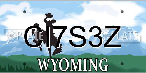 CI7S3Z Wyoming License Plate