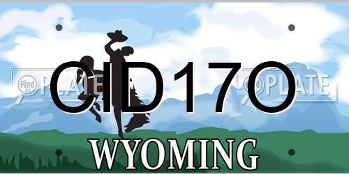 CID17O Wyoming License Plate