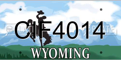 CIF4014 Wyoming License Plate