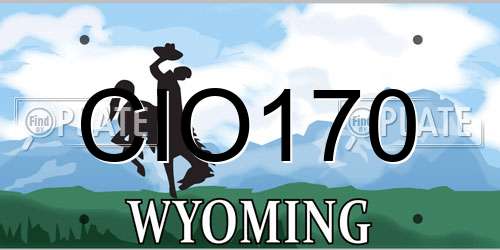 CIO170 Wyoming License Plate