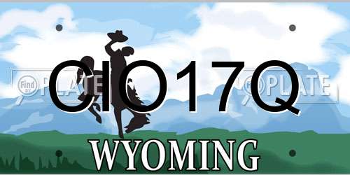 CIO17Q Wyoming License Plate
