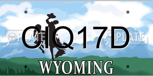 CIQ17D Wyoming License Plate