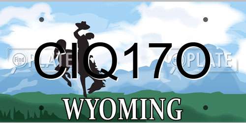 CIQ17O Wyoming License Plate