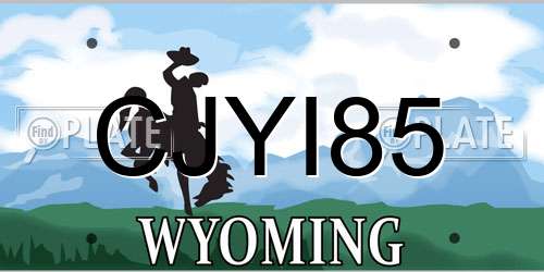 CJYI85 Wyoming License Plate