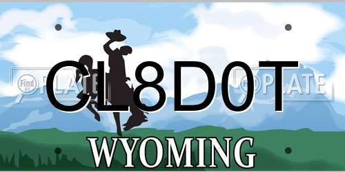 CL8D0T Wyoming License Plate