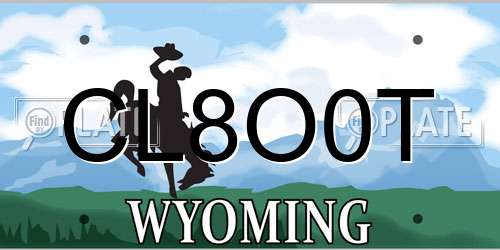 CL8O0T Wyoming License Plate