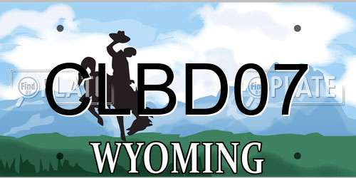 CLBD07 Wyoming License Plate