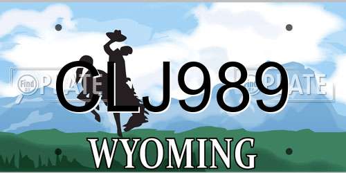 CLJ989 Wyoming License Plate