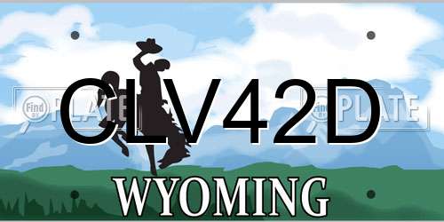 CLV42D Wyoming License Plate