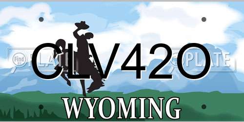 CLV42O Wyoming License Plate