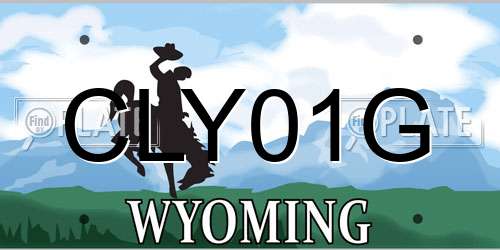 CLY01G Wyoming License Plate